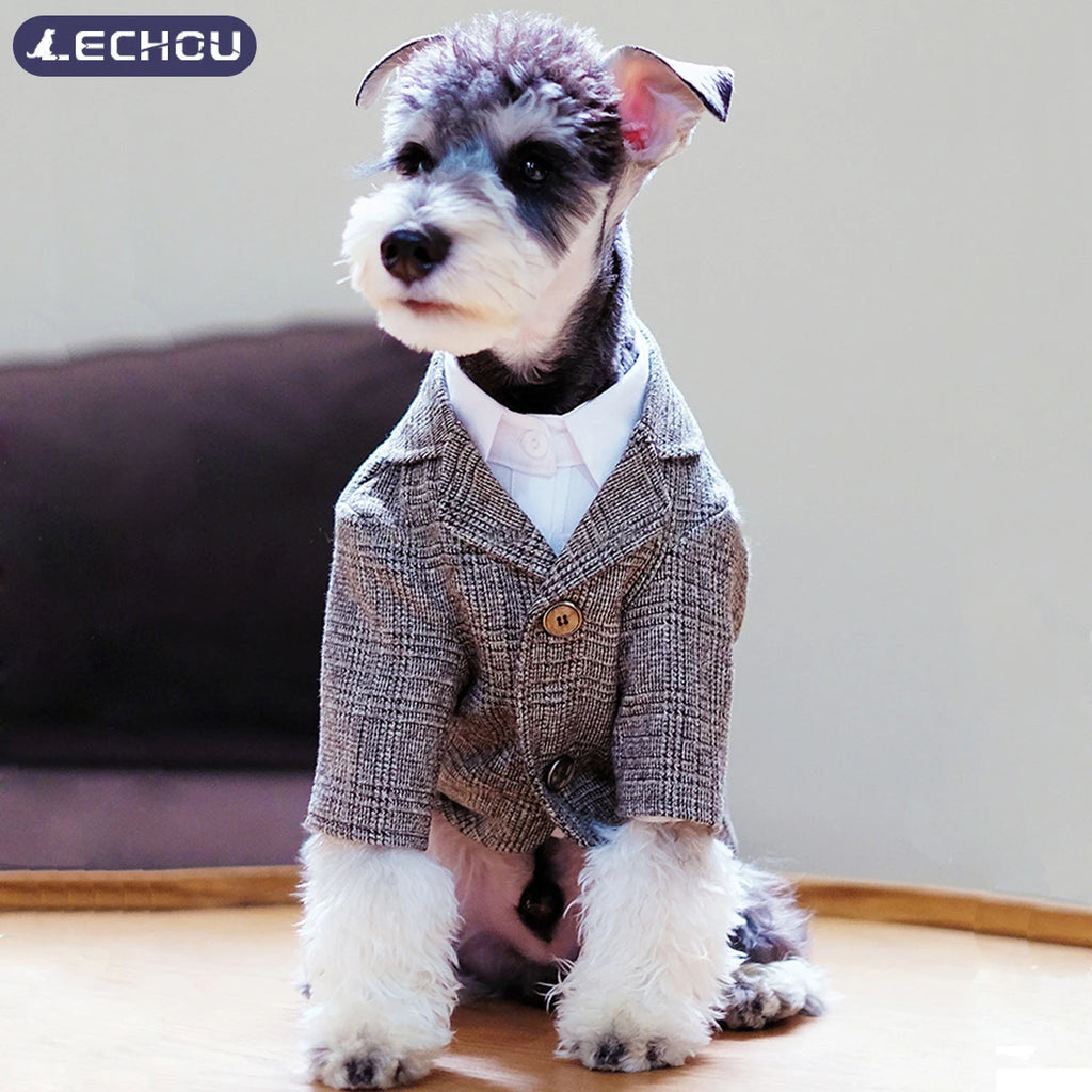 Knight Suit for Dogs and Cats – Jacket and Vest for Weddings and Parties
