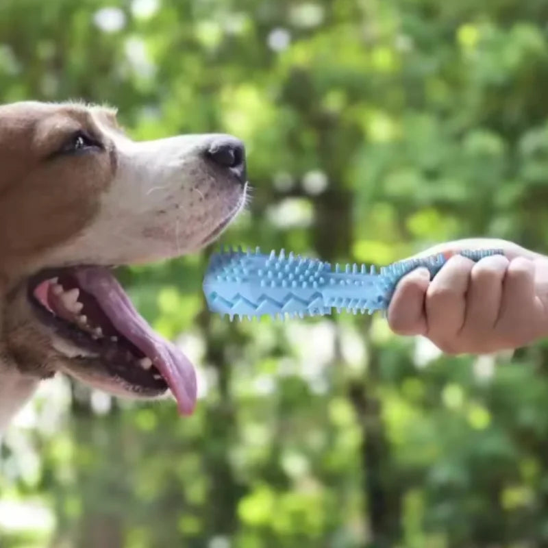 Juguete Mordedor para Perros – TPR Interactivo, Limpieza Dental y Antiestrés