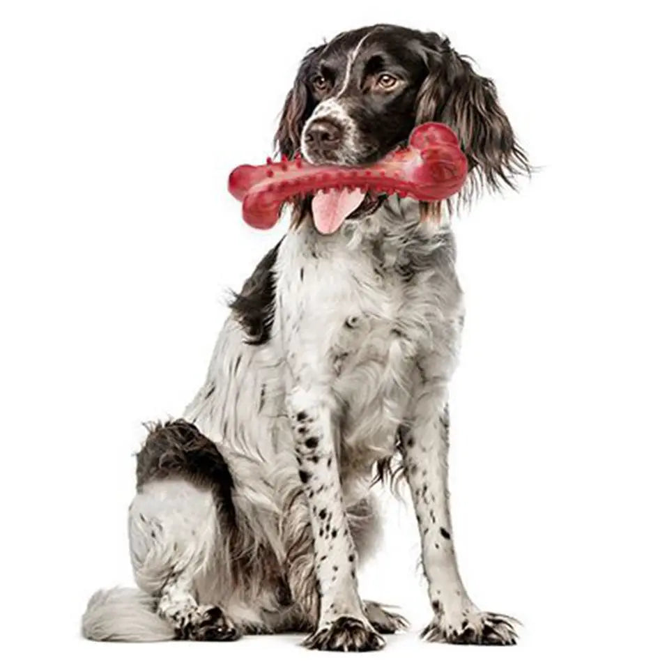 Tough Chew Toy for Large Dogs – Natural Rubber Bone with Beef Flavor & Dental Cleaning