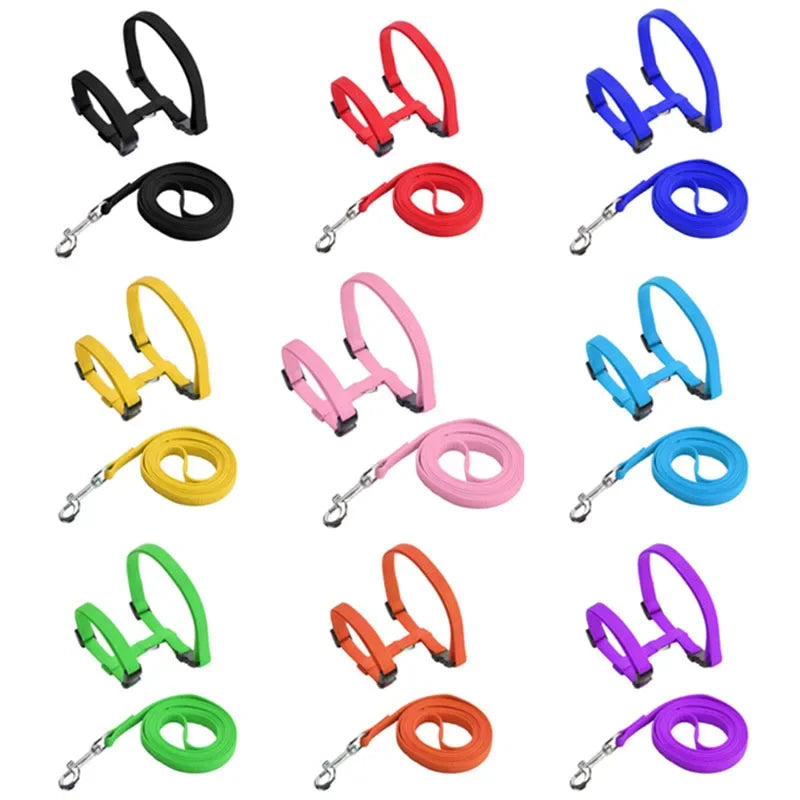Kitten & Cat Harness and Leash Set — Escape-Proof, Adjustable with Bell