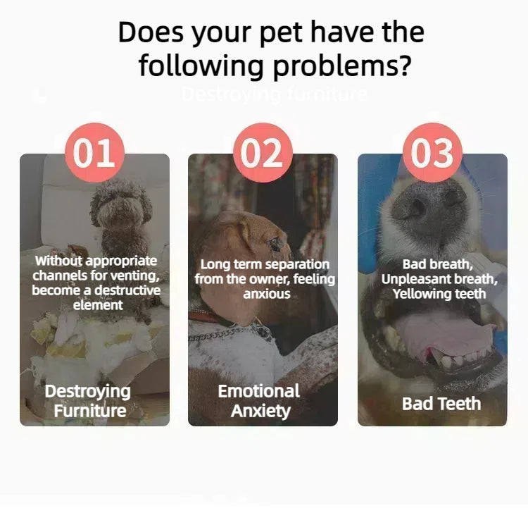 Tough Chew Toy for Large Dogs – Natural Rubber Bone with Beef Flavor & Dental Cleaning