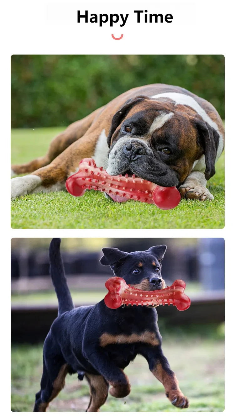 Tough Chew Toy for Large Dogs – Natural Rubber Bone with Beef Flavor & Dental Cleaning