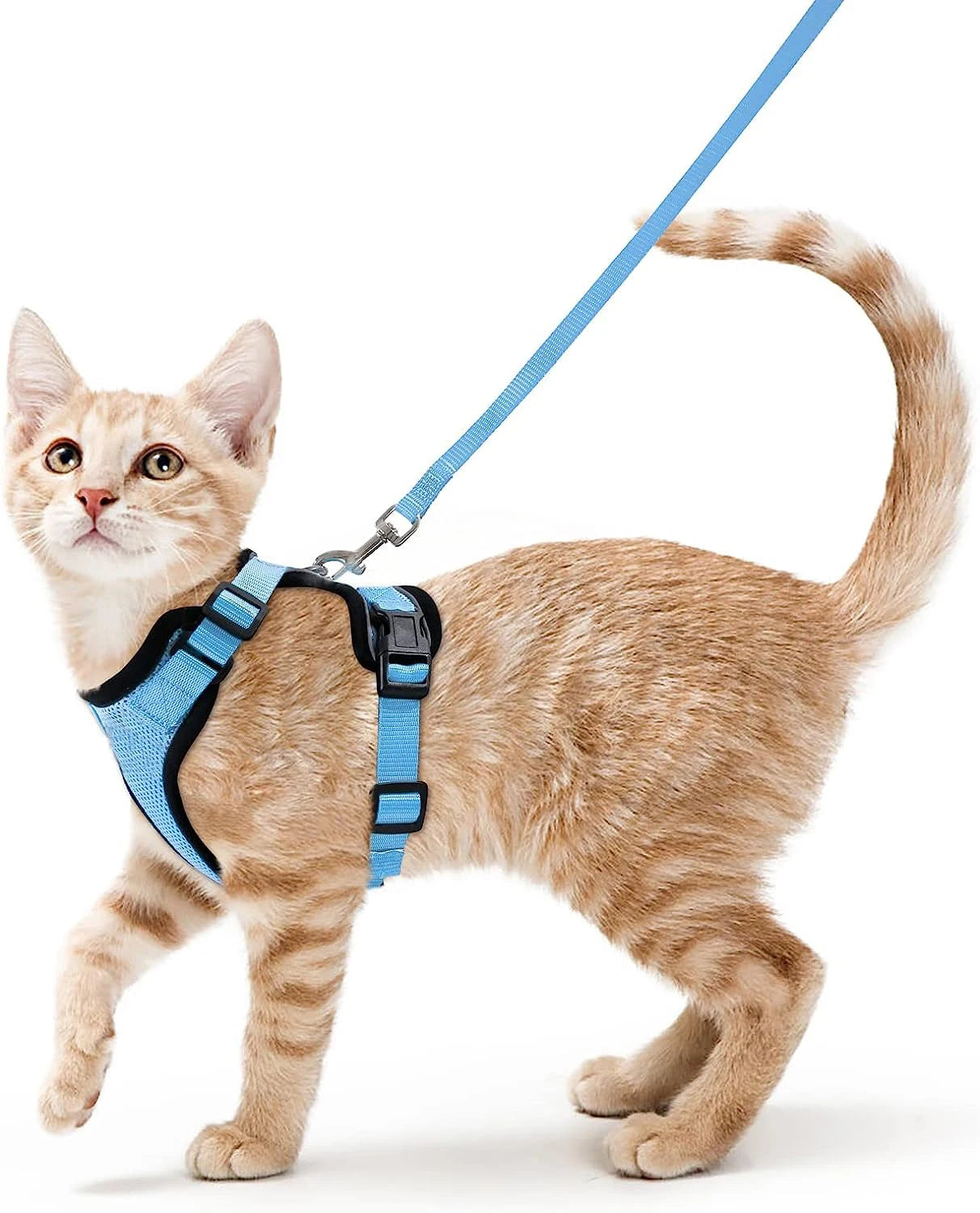 Arnés y Correa para Gatos — Suave, Ajustable y Escape-Proof