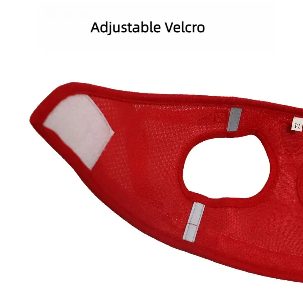 Escape-Proof Cat Harness — Reflective Mesh Vest with Leash, Adjustable