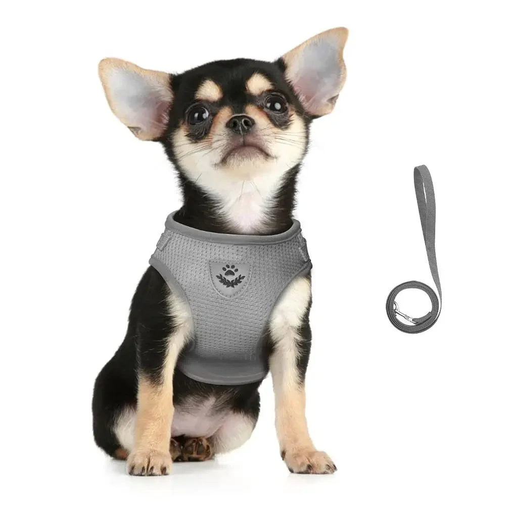 Escape-Proof Cat Harness — Reflective Mesh Vest with Leash, Adjustable