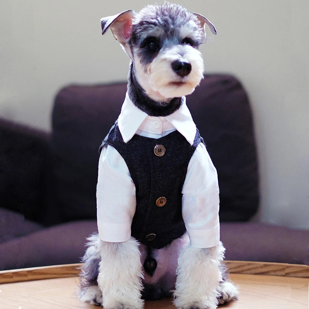 Knight Suit for Dogs and Cats – Jacket and Vest for Weddings and Parties