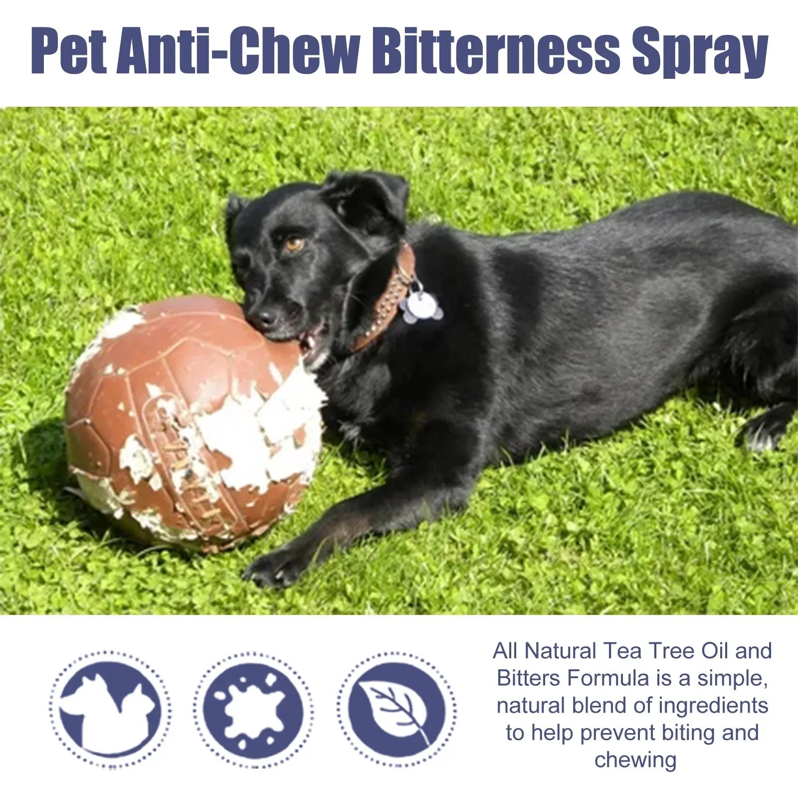 Bitter Spray for Dogs & Cats – Anti-Chew & Scratch Deterrent, 50ml