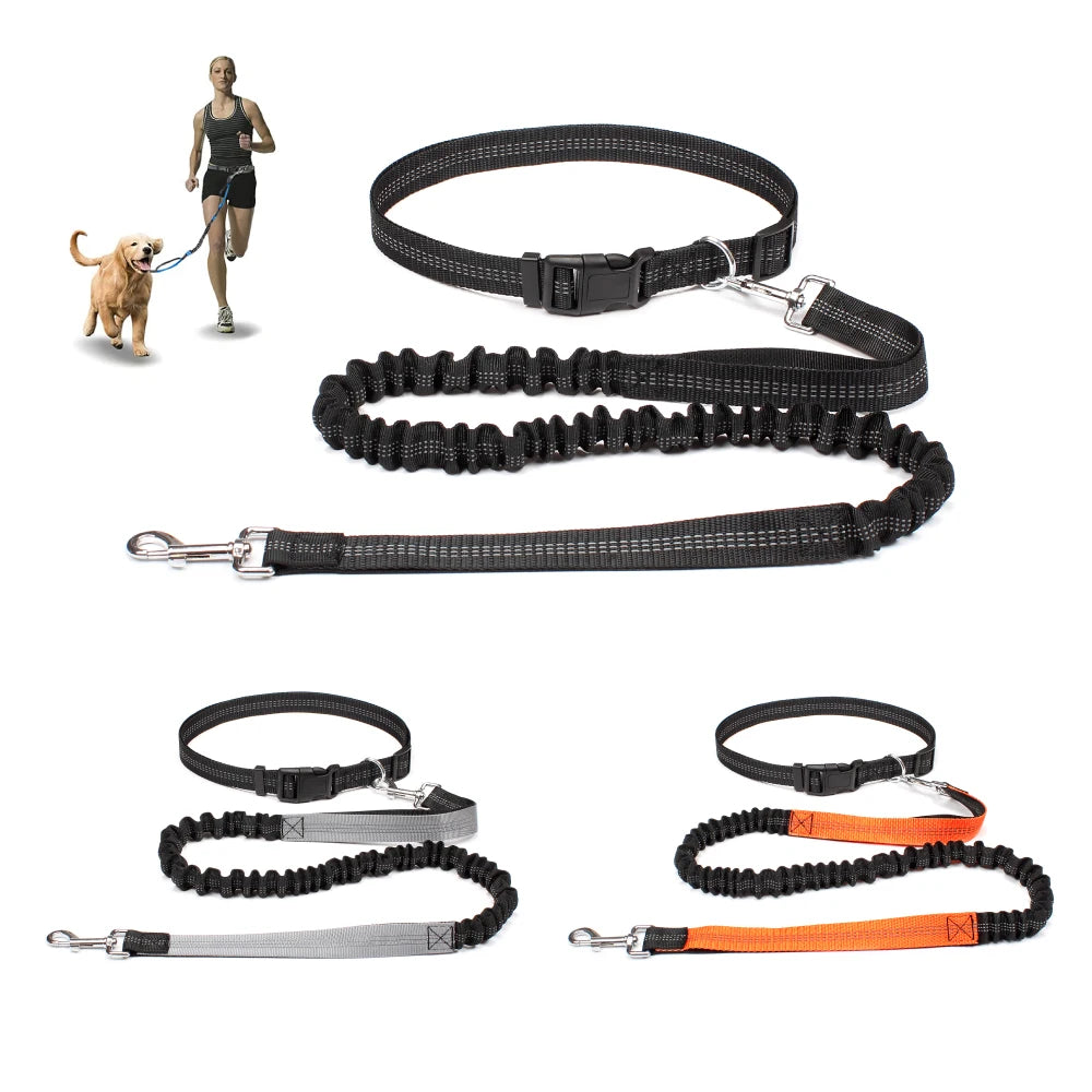 Hands-Free Dog Leash — Adjustable, Reflective & Comfortable for Running & Walking
