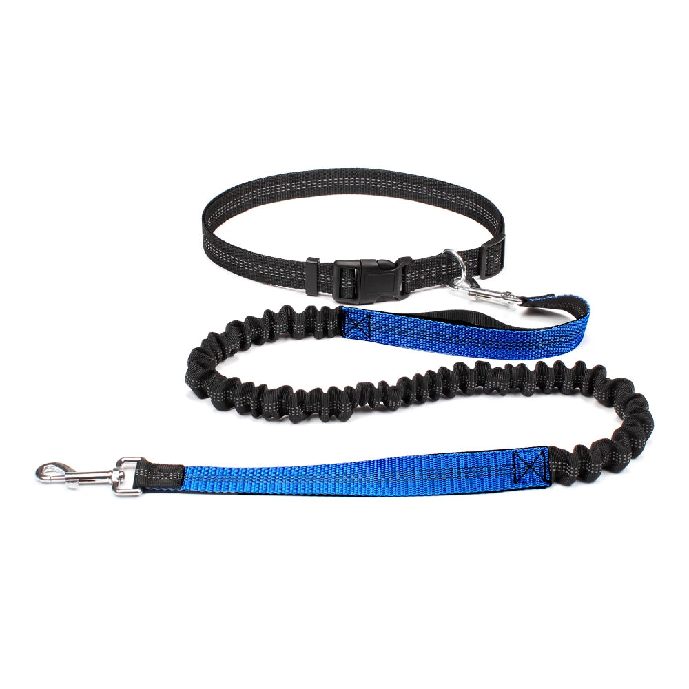 Hands-Free Dog Leash — Adjustable, Reflective & Comfortable for Running & Walking