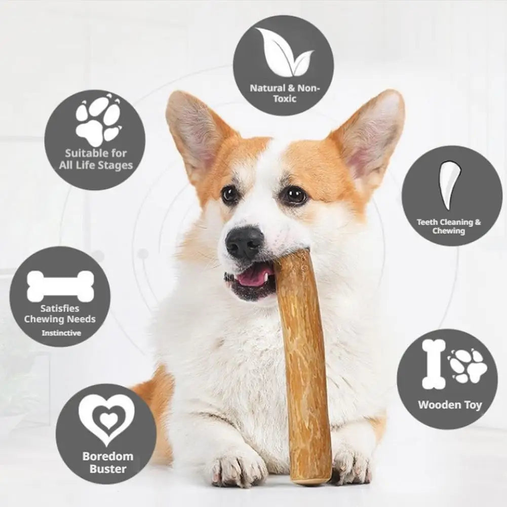 Coffee Wood Dog Chew Stick – Natural Dental Cleaning & Stress Relief