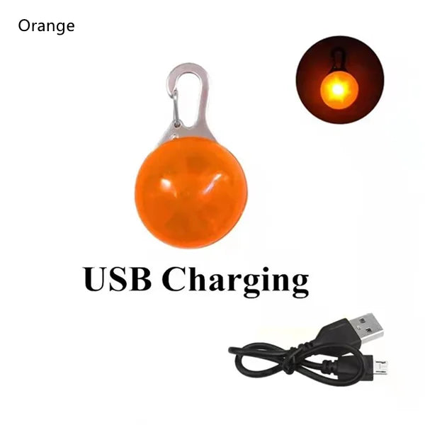 USB Rechargeable LED Dog Collar Pendant — Night Safety Light