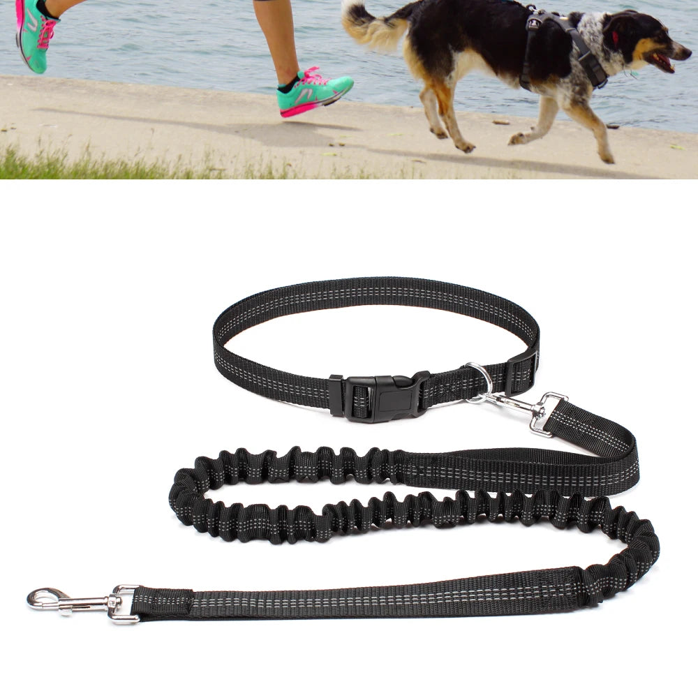 Hands-Free Dog Leash — Adjustable, Reflective & Comfortable for Running & Walking