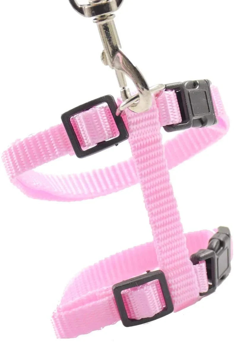 Kitten & Cat Harness and Leash Set — Escape-Proof, Adjustable with Bell