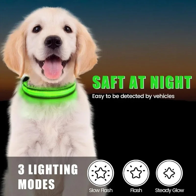 Rechargeable LED Dog Collar with Built-In AirTag Holder — Waterproof & Reflective