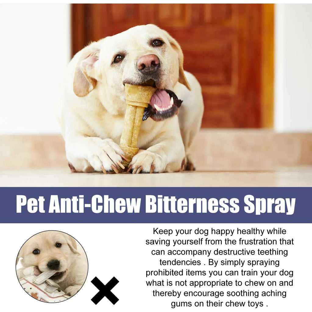 Bitter Spray for Dogs & Cats – Anti-Chew & Scratch Deterrent, 50ml