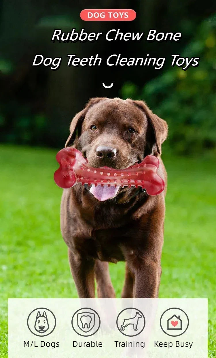 Tough Chew Toy for Large Dogs – Natural Rubber Bone with Beef Flavor & Dental Cleaning