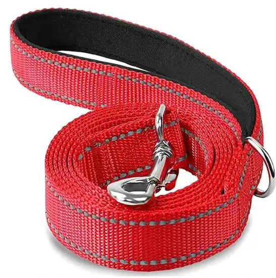 Reflective Dog & Cat Leash — Safe Walks Day and Night