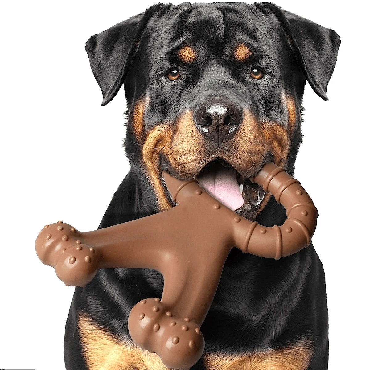 Bone-Shaped Dog Chew Toy – Dual-Sided Dental Cleaning with Beef Flavor