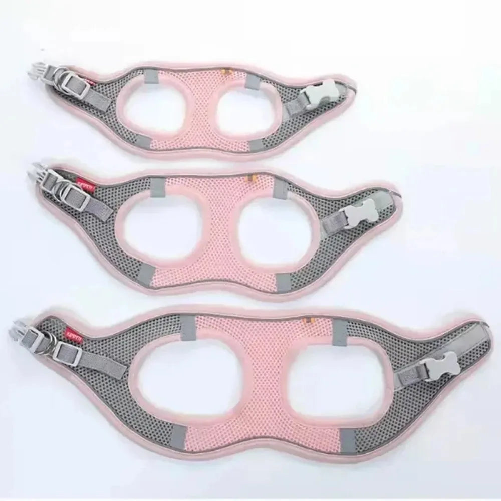 Reflective Adjustable Harness for Dogs & Cats — Vest with Leash for Walking