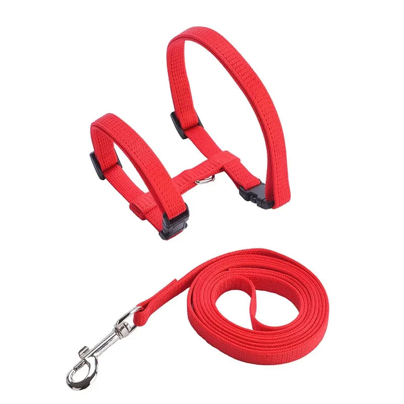 Kitten & Cat Harness and Leash Set — Escape-Proof, Adjustable with Bell