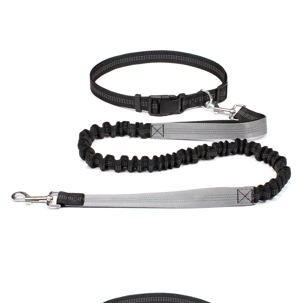 Hands-Free Dog Leash — Adjustable, Reflective & Comfortable for Running & Walking