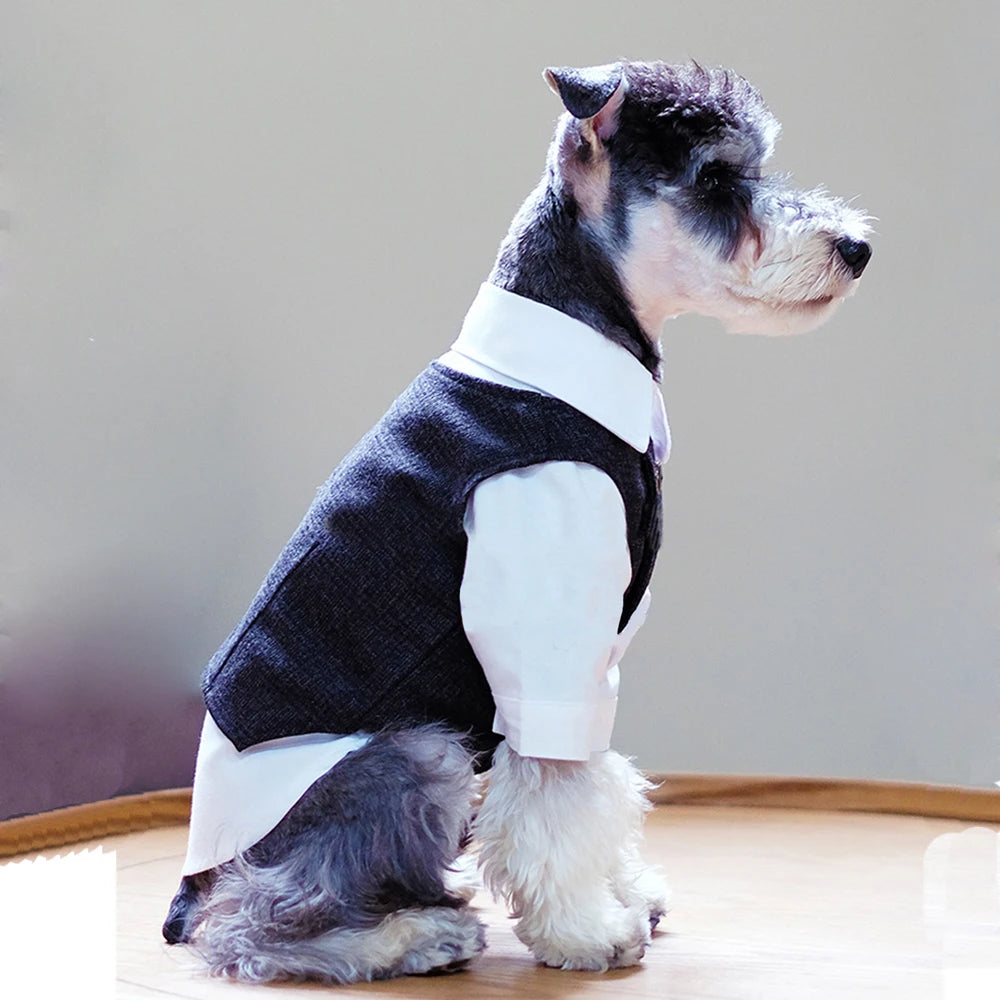 Knight Suit for Dogs and Cats – Jacket and Vest for Weddings and Parties