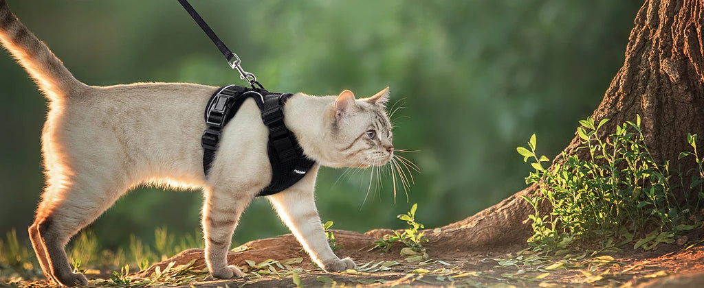 Arnés y Correa para Gatos — Suave, Ajustable y Escape-Proof
