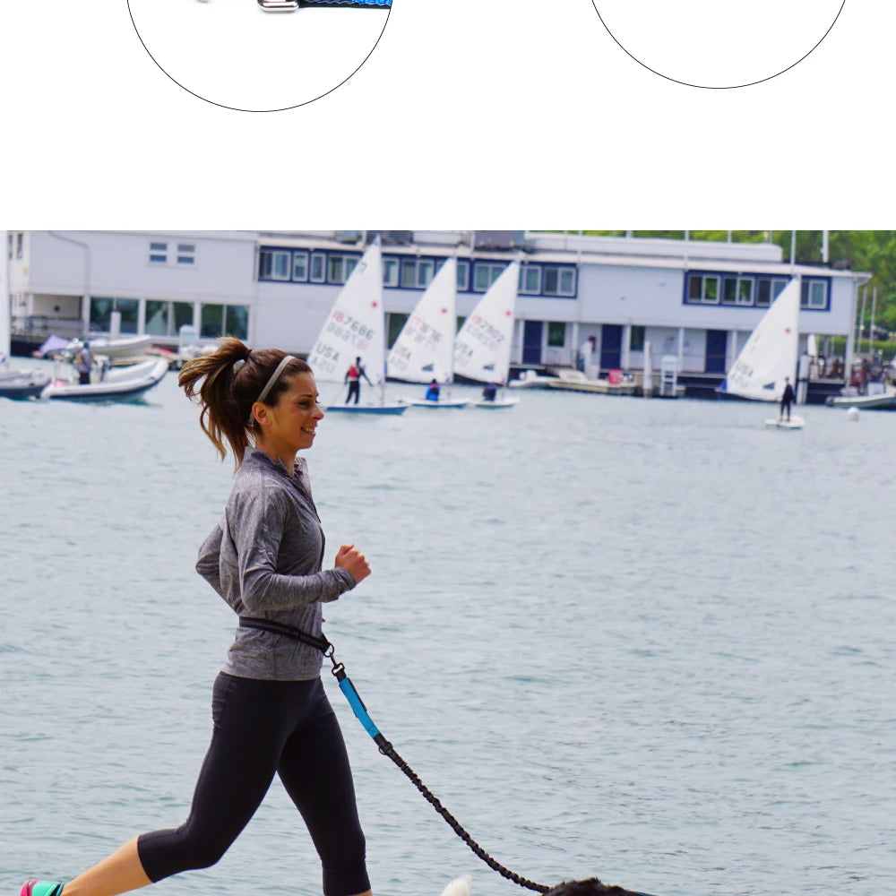 Hands-Free Dog Leash — Adjustable, Reflective & Comfortable for Running & Walking