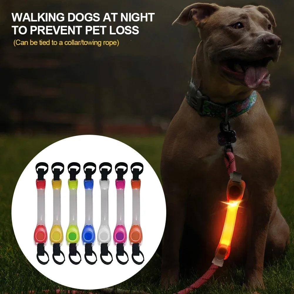 LED Safety Strip for Dogs — Waterproof with Flashing Night Light