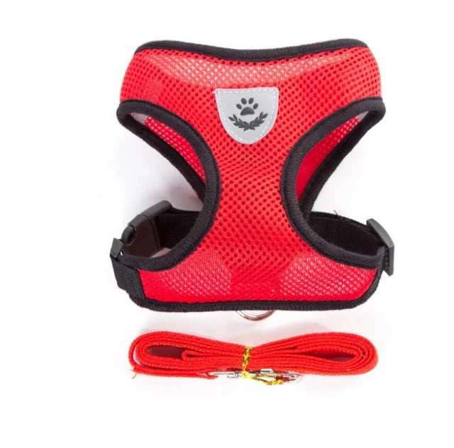 Mesh Harness & Leash Set for Cats and Dogs — Breathable, Reflective & Adjustable