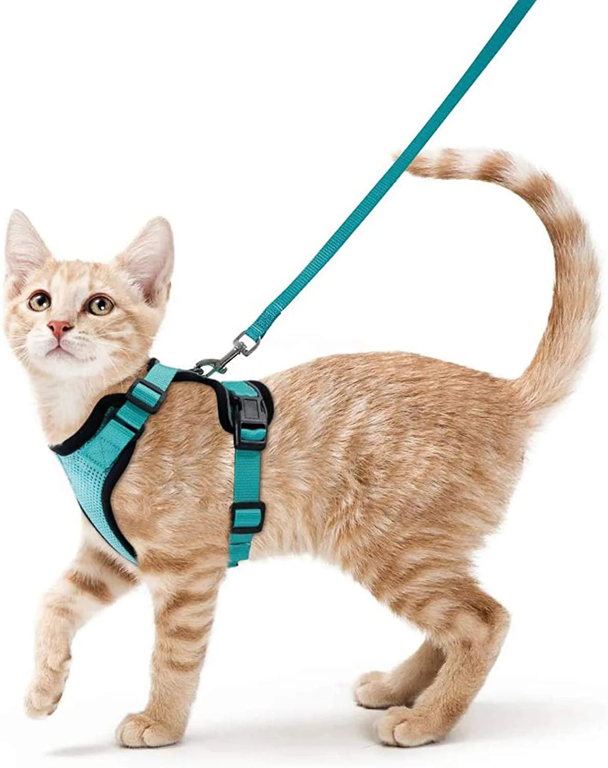 Arnés y Correa para Gatos — Suave, Ajustable y Escape-Proof