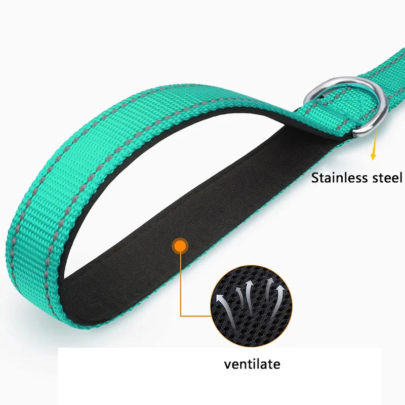 Reflective Dog & Cat Leash — Safe Walks Day and Night