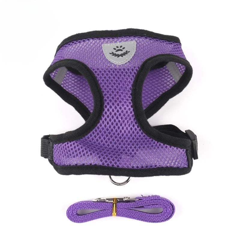 Mesh Harness & Leash Set for Cats and Dogs — Breathable, Reflective & Adjustable