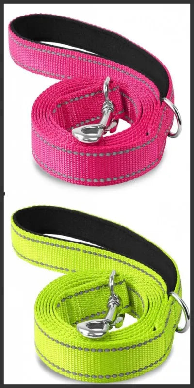 Reflective Dog & Cat Leash — Safe Walks Day and Night