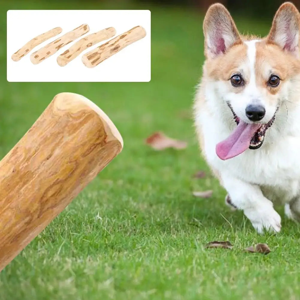 Coffee Wood Dog Chew Stick – Natural Dental Cleaning & Stress Relief