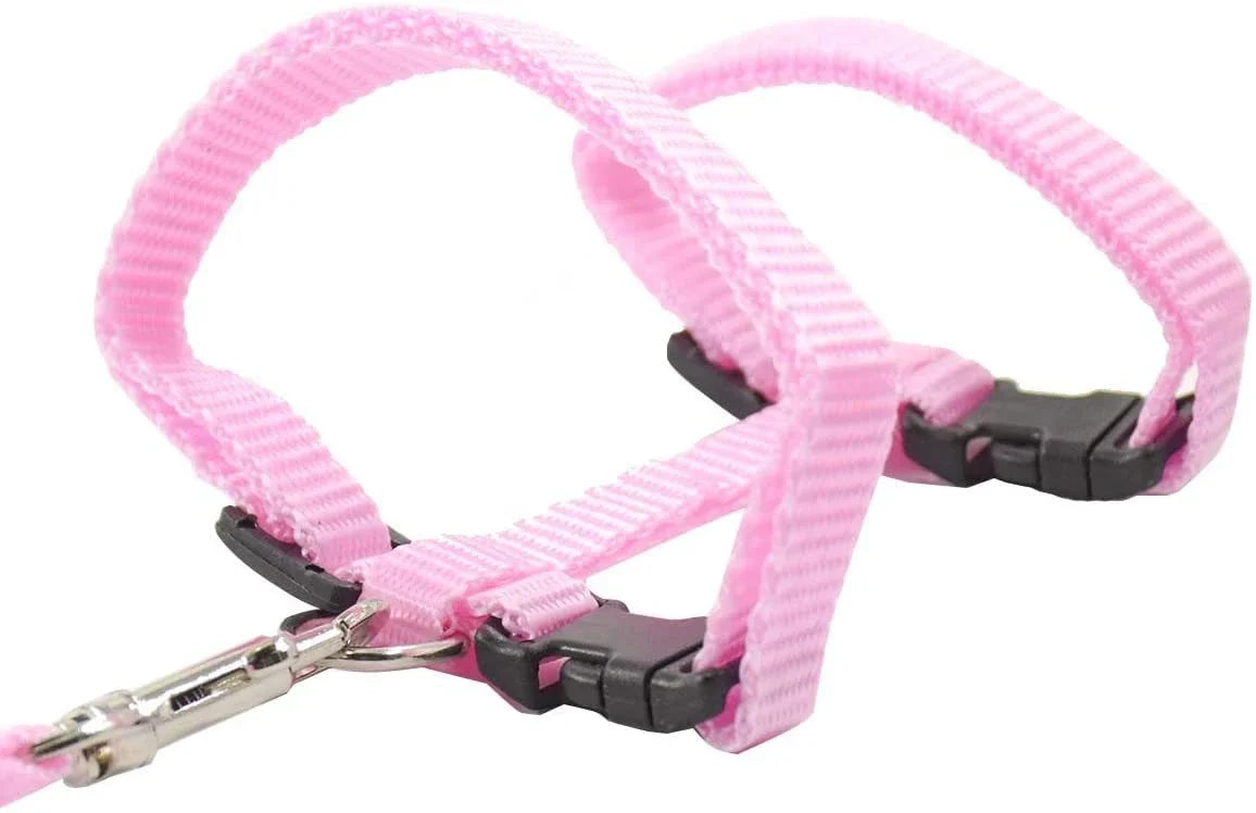 Kitten & Cat Harness and Leash Set — Escape-Proof, Adjustable with Bell