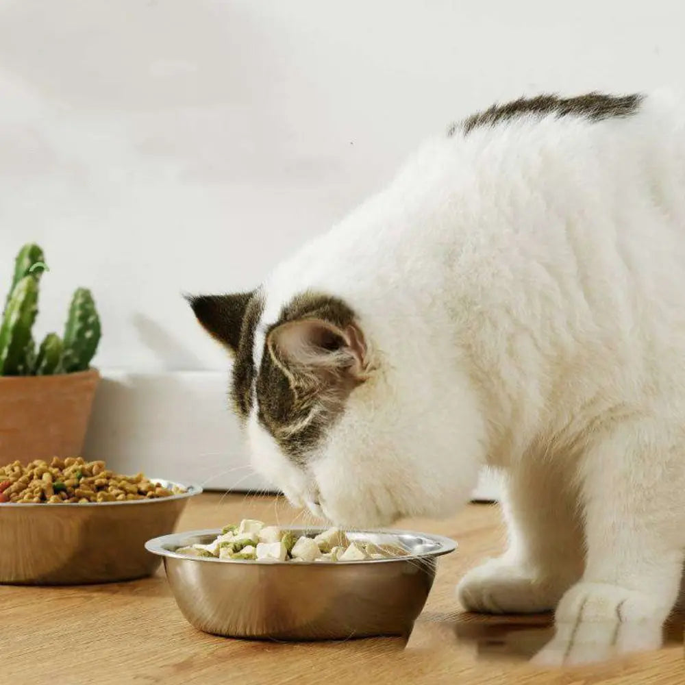 Stainless Steel Bowl for Dogs & Cats – Large Capacity, Non-Slip