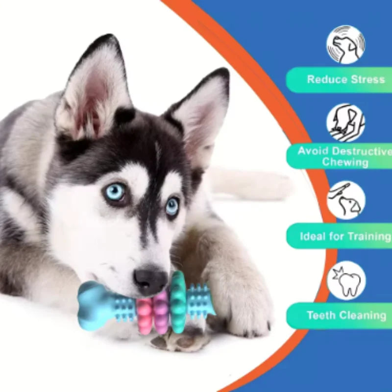 Juguete Mordedor para Perros – TPR Interactivo, Limpieza Dental y Antiestrés