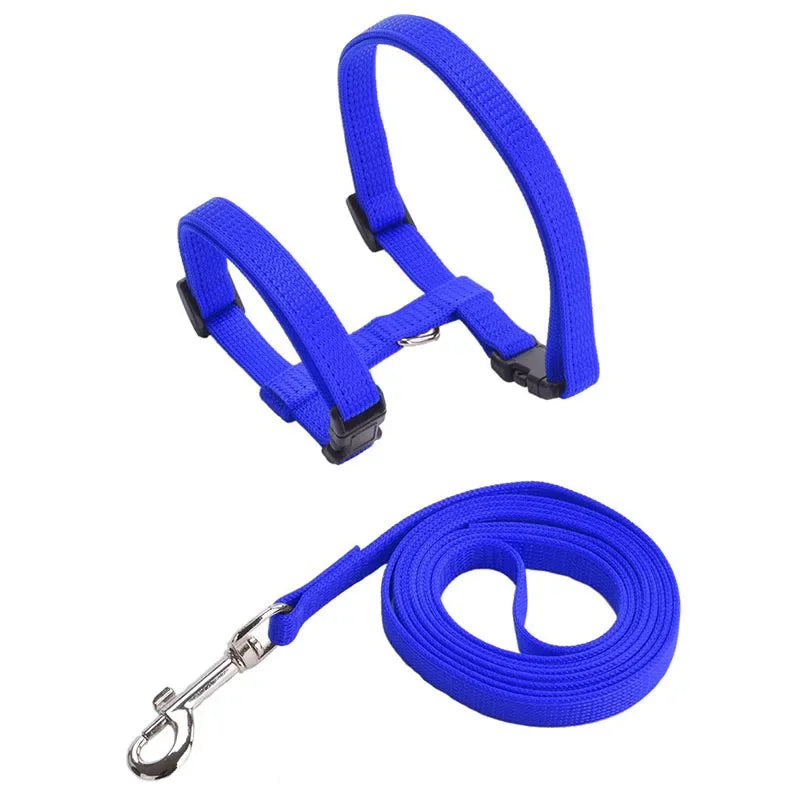 Kitten & Cat Harness and Leash Set — Escape-Proof, Adjustable with Bell