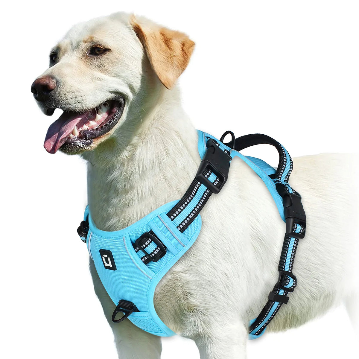 Arnés Sin Jalón para Perros – Chaleco Acolchado Ajustable con Asa de Control