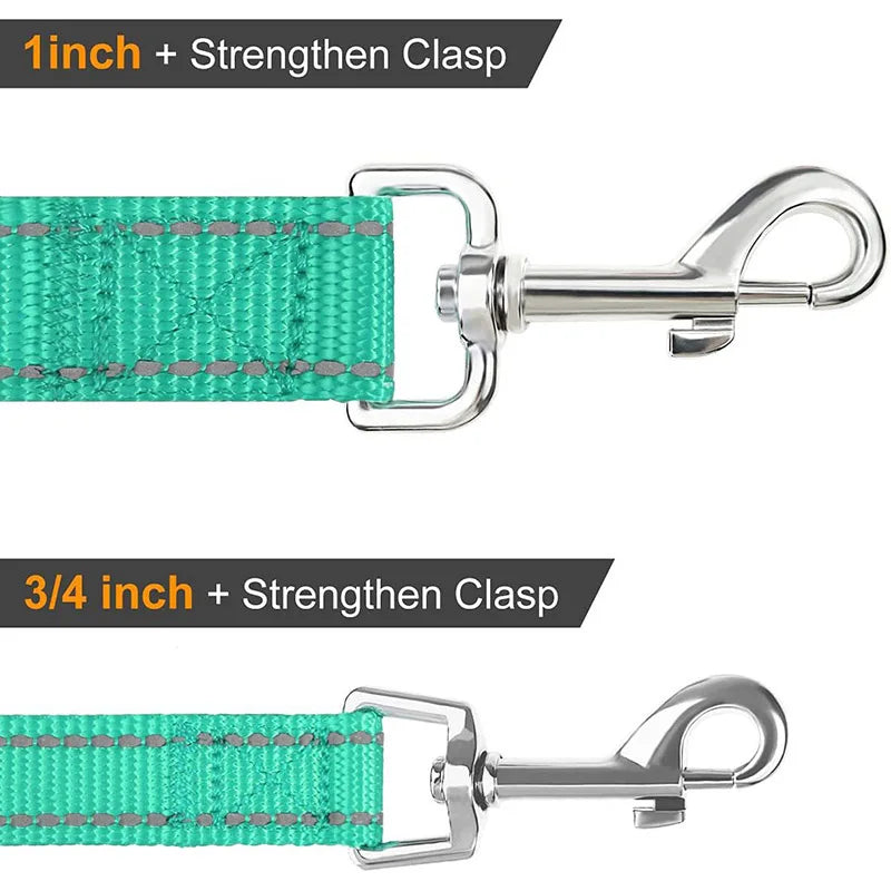 Reflective Dog & Cat Leash — Safe Walks Day and Night
