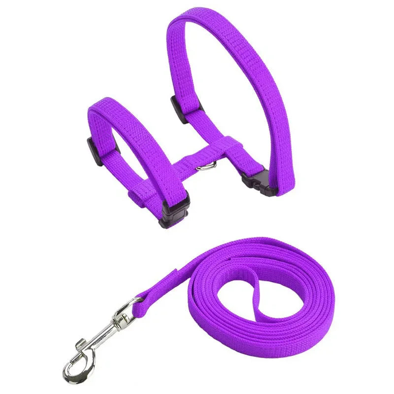 Kitten & Cat Harness and Leash Set — Escape-Proof, Adjustable with Bell