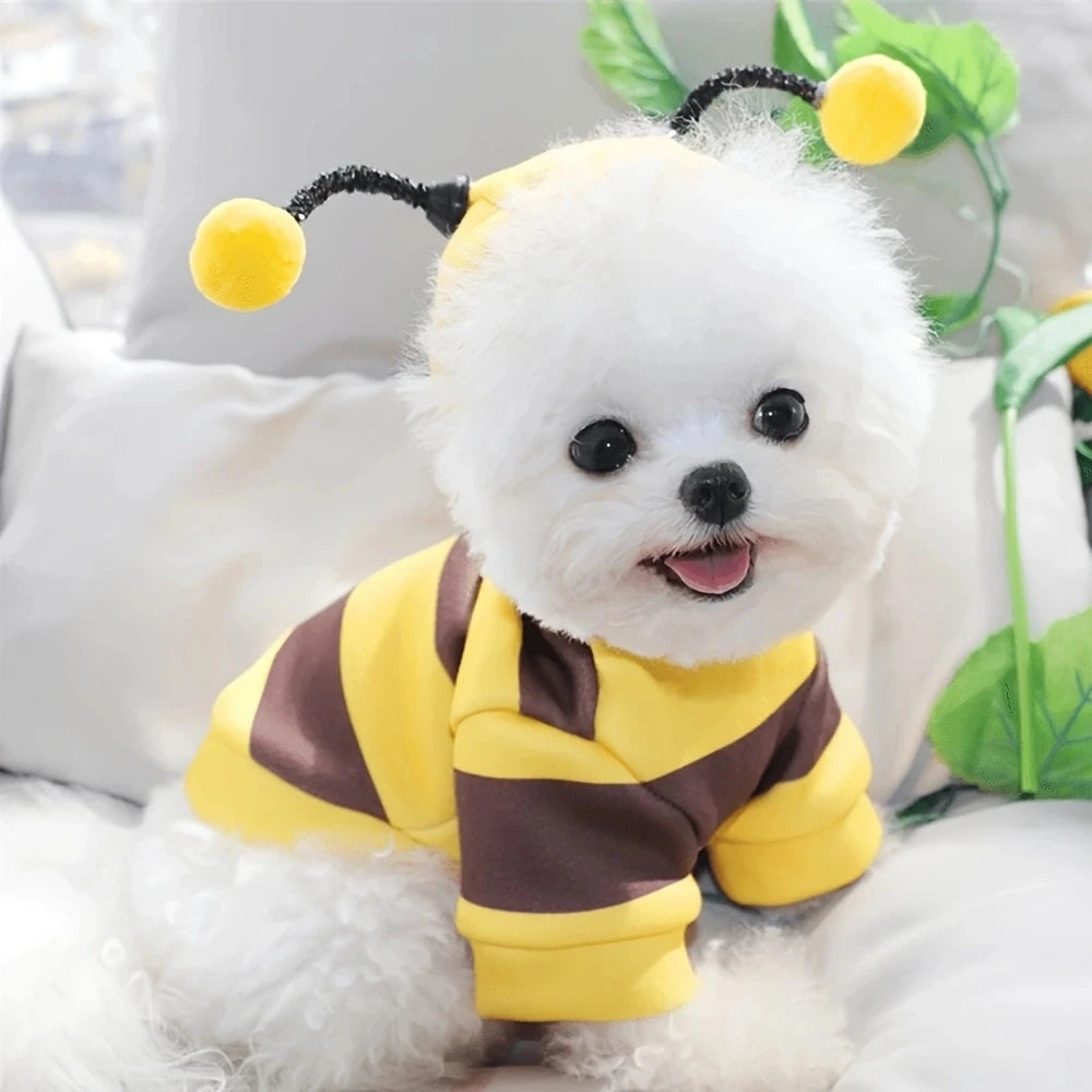 Bee Costume for Dogs & Cats – Adorable Hoodie for Halloween & Parties