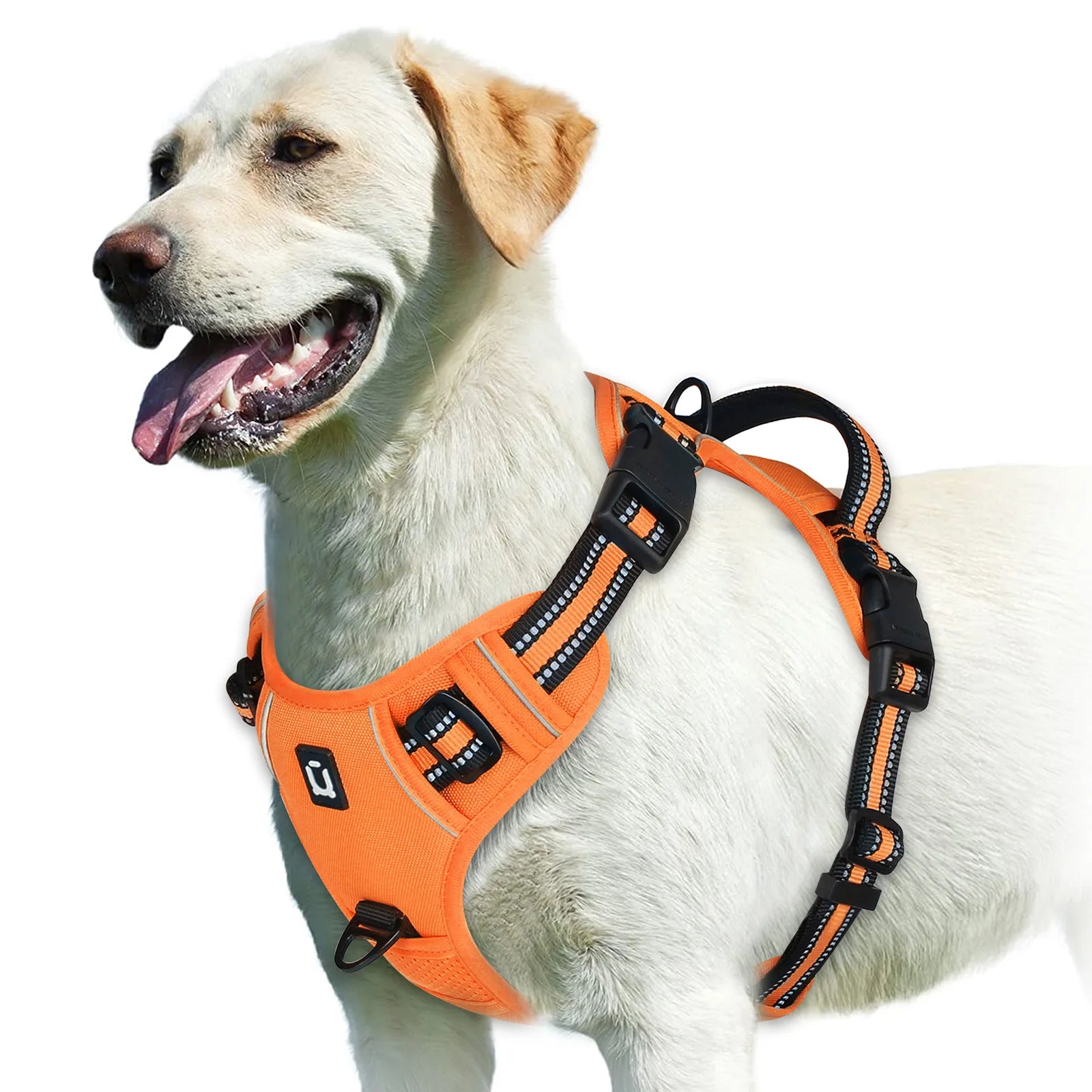 Arnés Sin Jalón para Perros – Chaleco Acolchado Ajustable con Asa de Control
