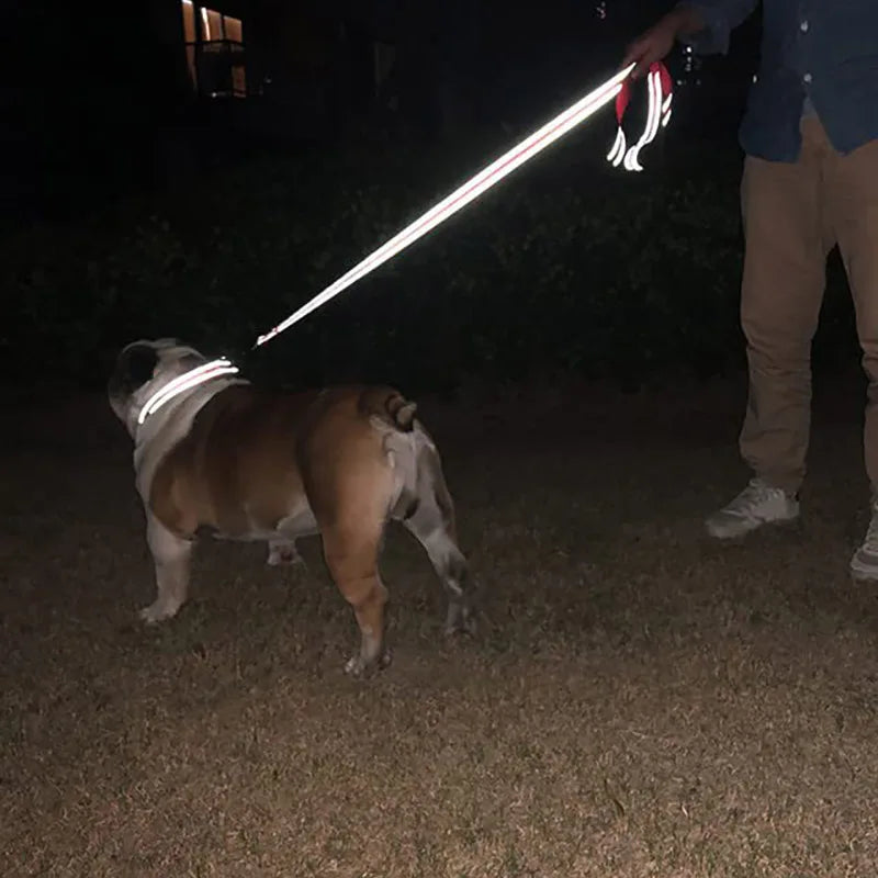 Reflective Dog & Cat Leash — Safe Walks Day and Night
