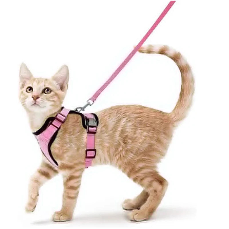 Arnés y Correa para Gatos — Suave, Ajustable y Escape-Proof