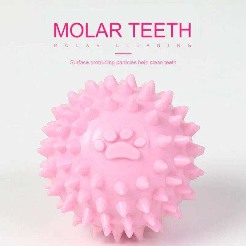 Interactive Paw Print Chew Ball for Dogs & Cats – TPR Dental Cleaning Toy