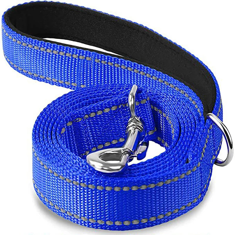 Reflective Dog & Cat Leash — Safe Walks Day and Night