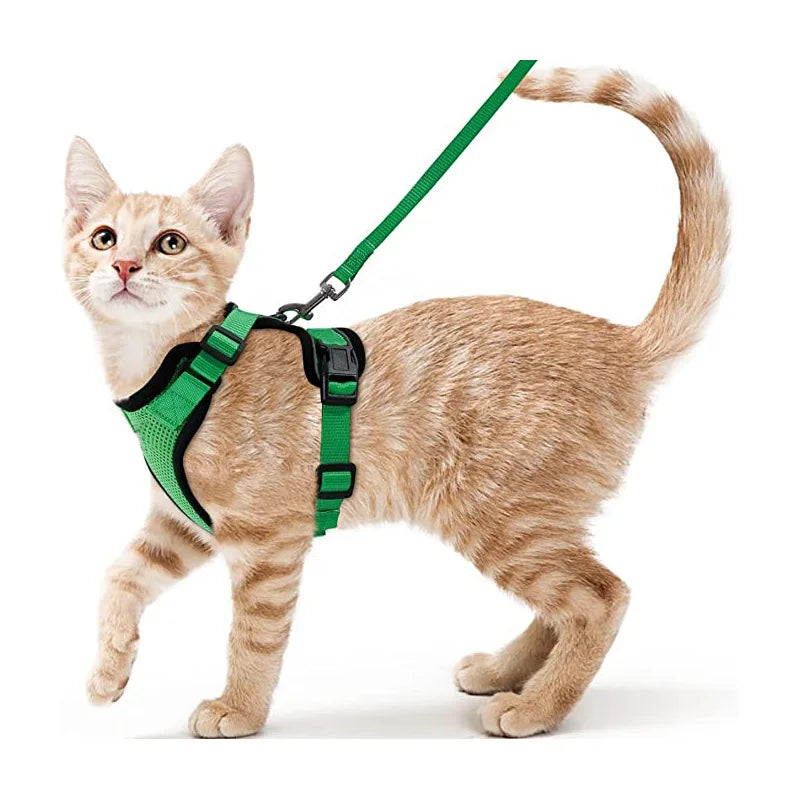 Arnés y Correa para Gatos — Suave, Ajustable y Escape-Proof