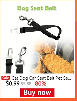 Pet Bath Towel for Dogs and Cats – Absorbent Quick-Dry Microfiber